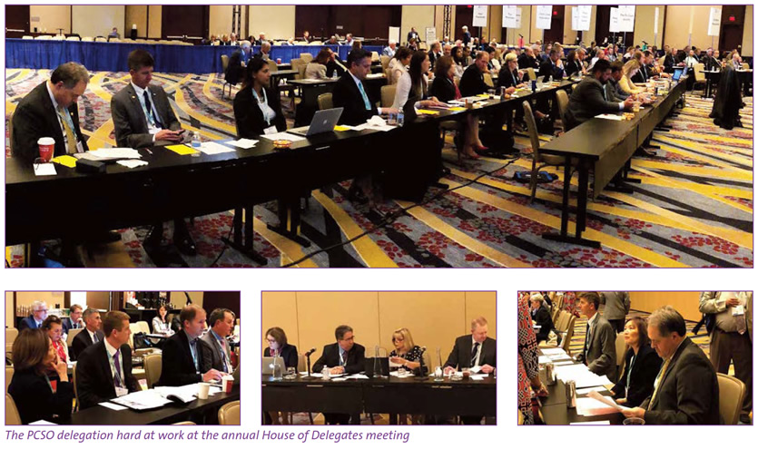 delegation_report2